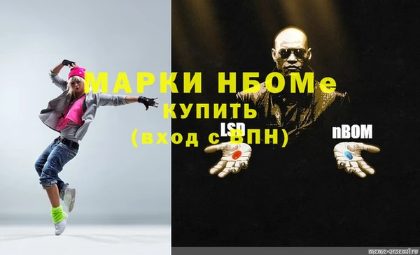 стафф Карпинск