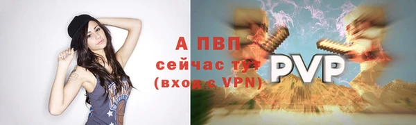 стафф Карпинск