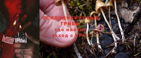 стафф Карпинск