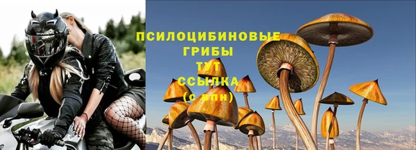 стафф Карпинск