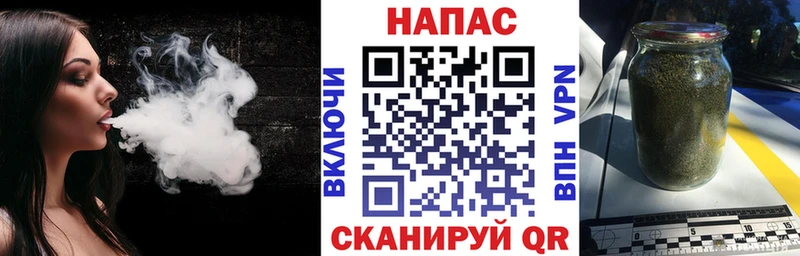 Бошки Шишки Amnesia  Яхрома 